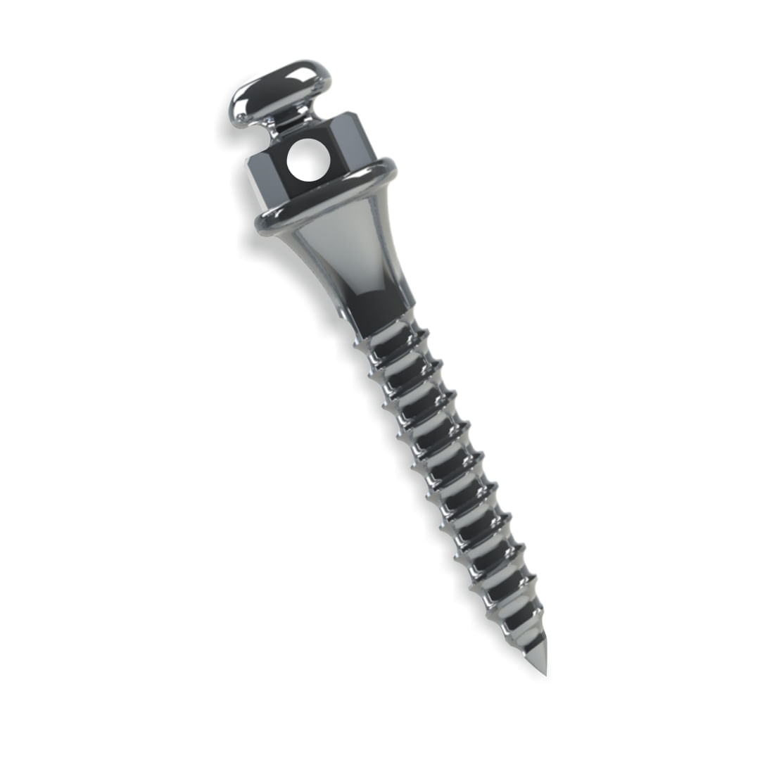 image-d6b8ad9421764effbc6cb1efc7ed135d