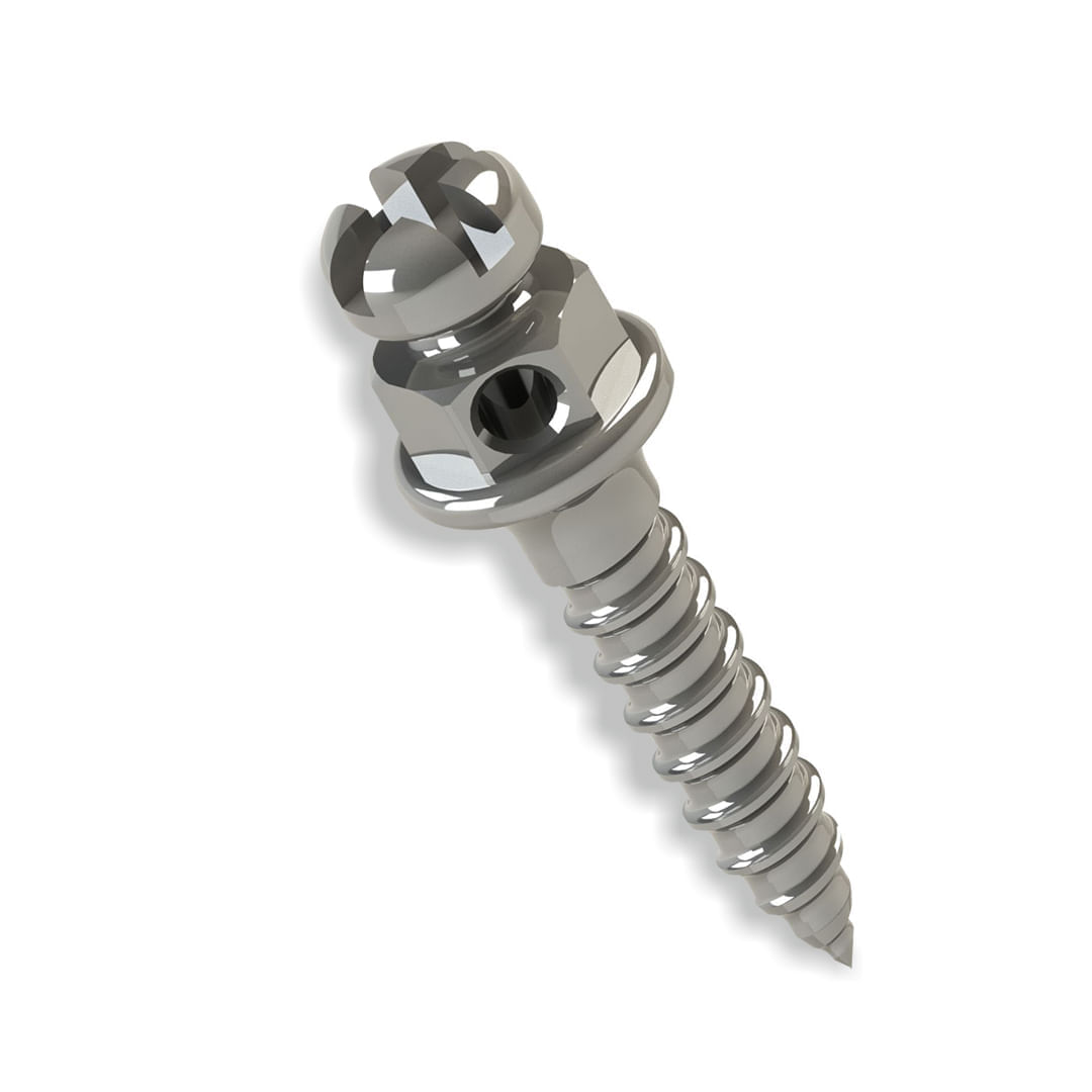 37.10.241 Mini parafuso Ortodôntico Cabeça De Barquete Horário (comp: 6mm - Transm: 1mm - 1,5mm) - Morelli