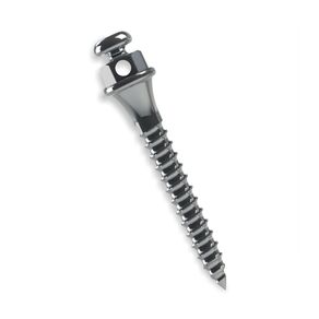 3710203 Mini Parafuso Ortodôntico Compr: 10mm Transm: 2mm Ø 1,5mm - Morelli