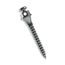 3710203 Mini Parafuso Ortodôntico Compr: 10mm Transm: 2mm Ø 1,5mm - Morelli