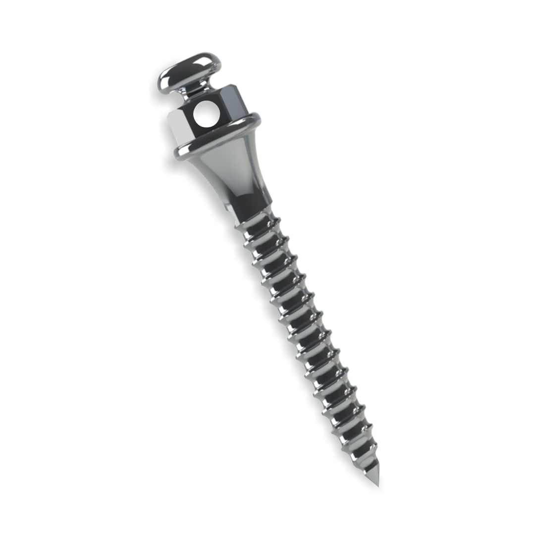 image-657e278a319a436d9256f14f4329496d