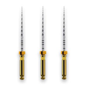 Protaper Next X1 31mm - Dentsply Sirona