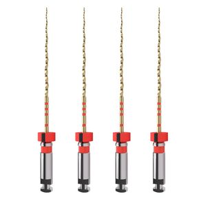 Lima Rotatória Trunatomy Prime 25mm com 4 Maillefer - Dentsply Sirona