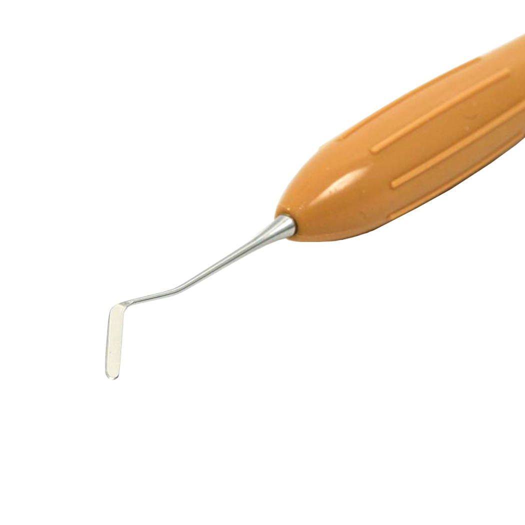 image-a66f0f1ef30b431d97cadcfcaca049f9