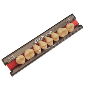 Dente Biotone 32L SUP 66 - Dentsply Sirona