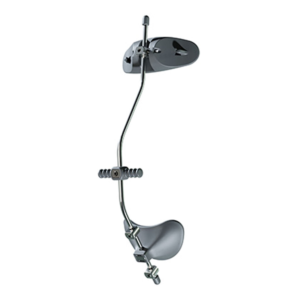 image-ad401821ea034d869581165a202c18eb