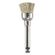 Eve Ca Brush WT1 - Odontomega