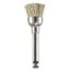 Eve Ca Brush WT1 - Odontomega