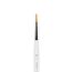 Pincel Allwhite 4 - Odontomega