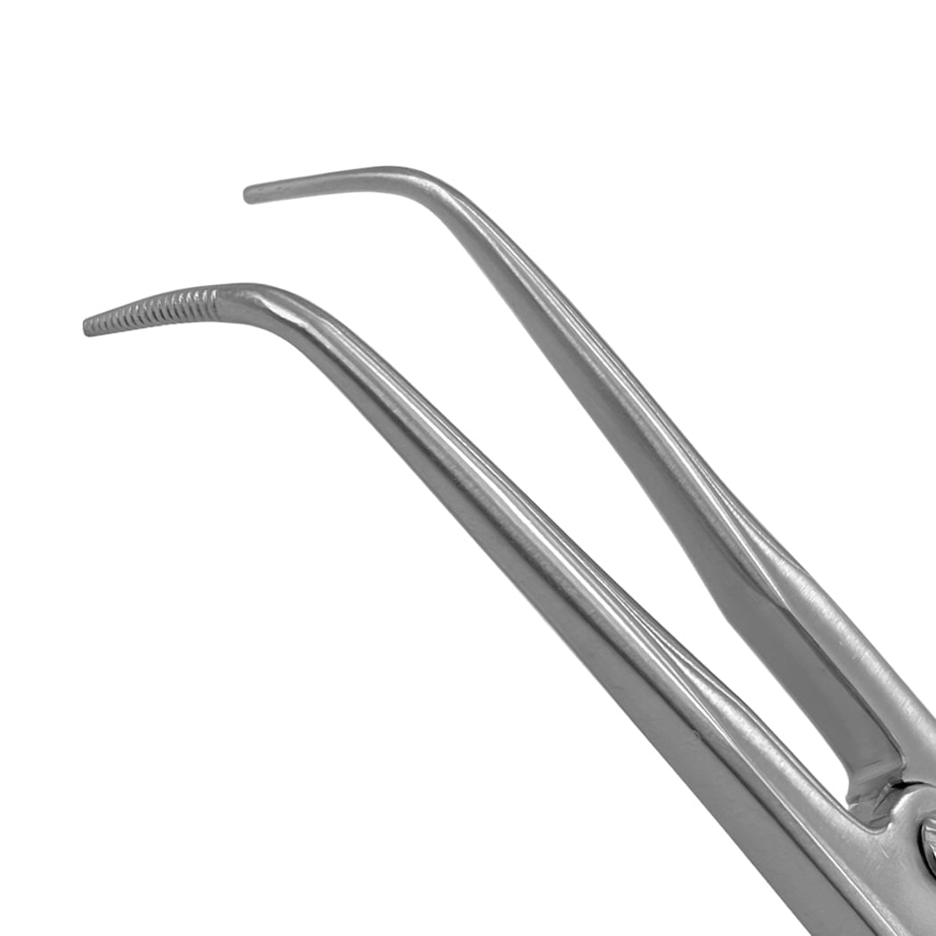 image-d057f3dff6374d6cb7f53c45bd96a2da