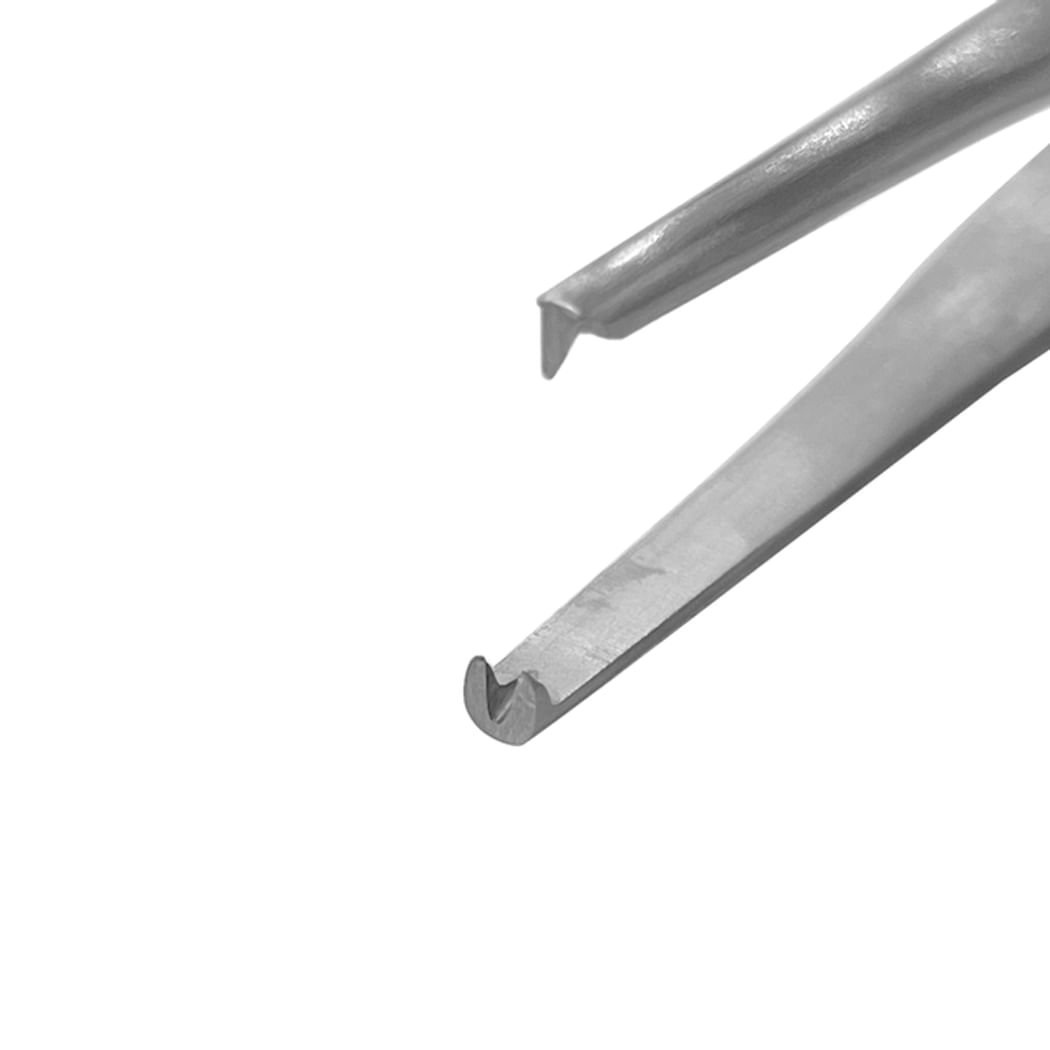 image-2520597afd3c44e0bd23b32772147947