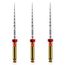 Protaper Next X2 25mm com 3 - Dentsply Sirona