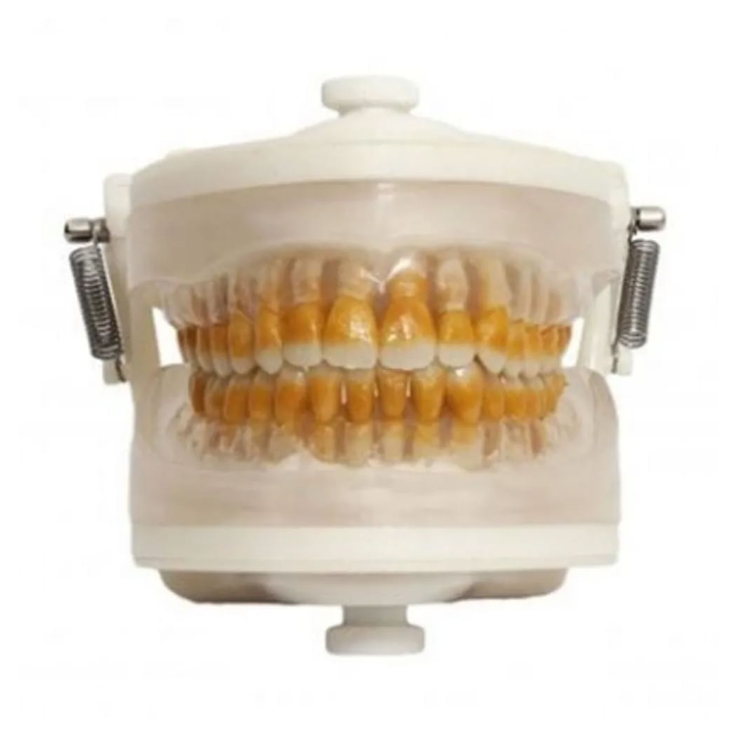 image-a990fe57a2ee4bfaa1329e3740a0d250