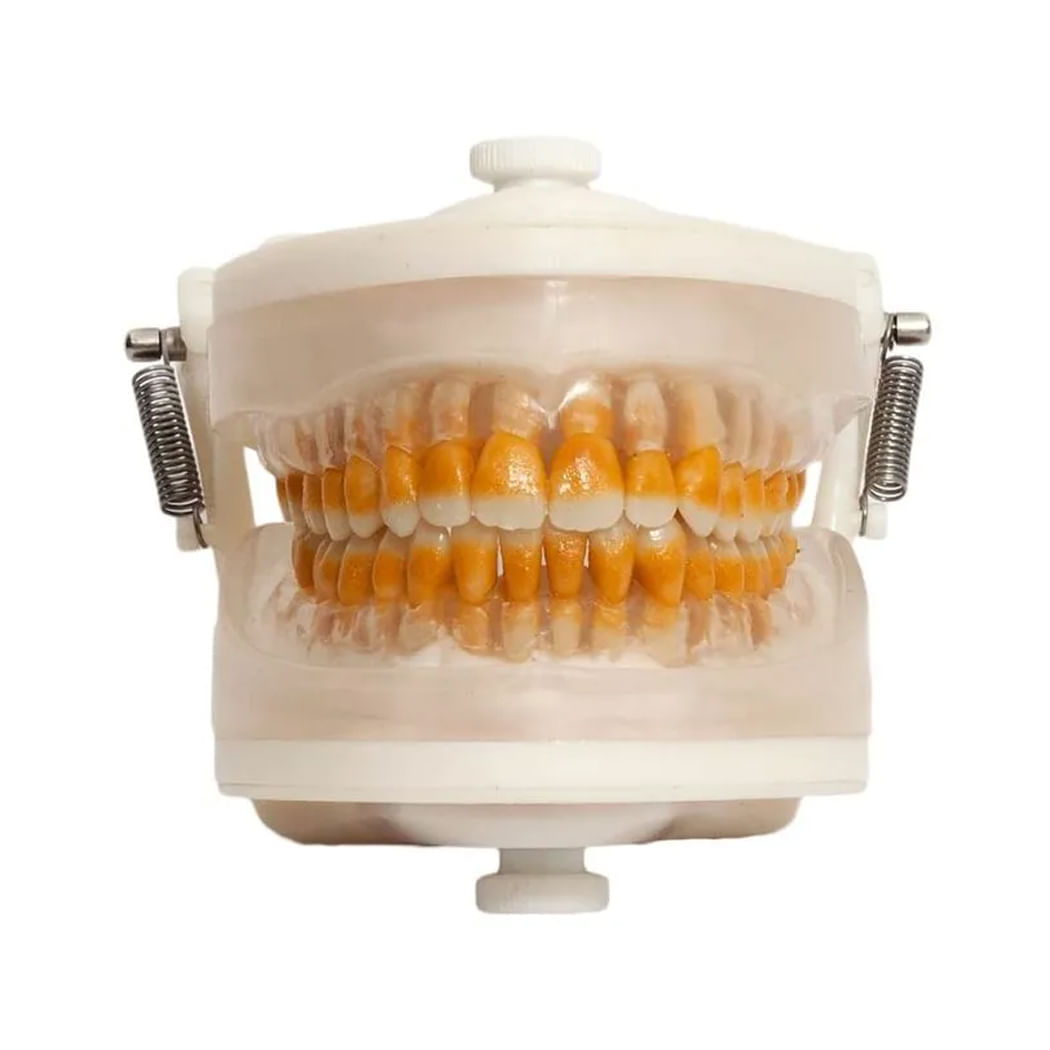 image-0529d30f20ed4cda9138fd9324a4de49