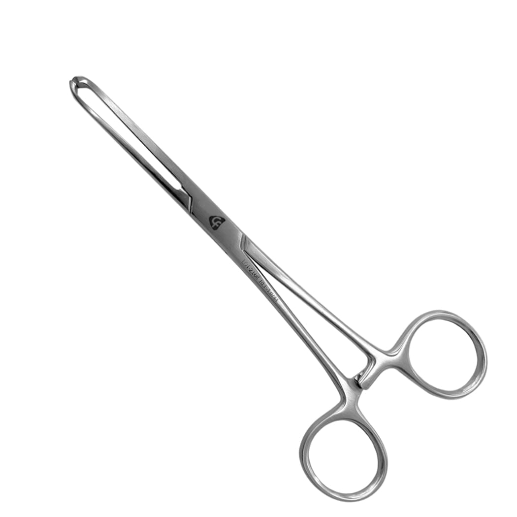 image-1d0c7b7048a941d580763aa8205f5291