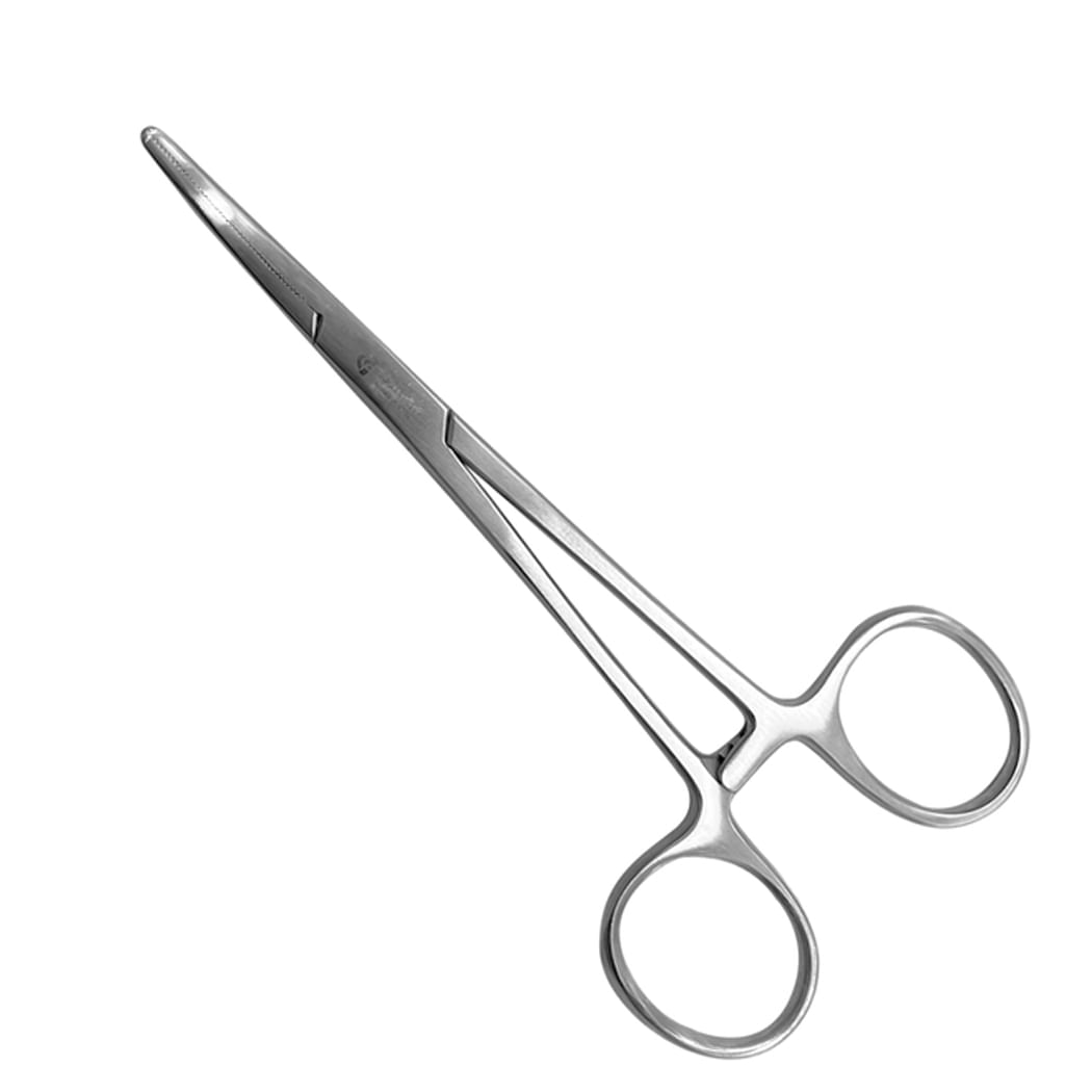 image-3037d5564e36453cb9e80e758832fd6d